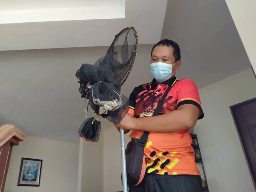 nuisance pest control nuisance pest control